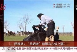 马语者在线观看免费