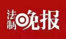闪闪最新爆料新闻网,闪闪最新爆料新闻网，独家内幕大公开！