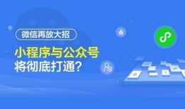 小程序视频爆料营销策略,小程序爆品营销策略全解析