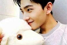 杨洋事件是谁爆料的视频,揭秘爆料视频背后的真相