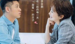 爆料娱乐圈海清的小说叫什么,海清的爆笑人生