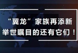 咕噜噜的爆料视频大全免费观看,免费观看，揭秘娱乐圈幕后故事