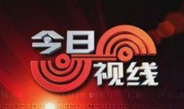 爆料今日视线最新消息,最新热点事件深度解析