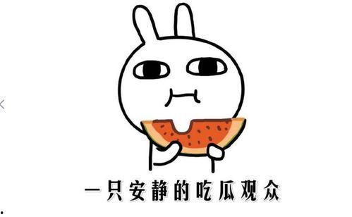 吃瓜 什么意思,揭秘“吃瓜”背后的网络文化现象